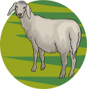 Farm Animal Clipart