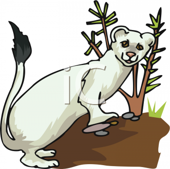 Mammal Clipart