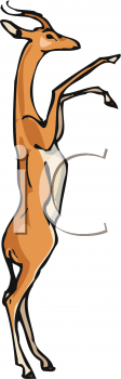 Antelope Clipart