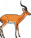 Deer Clipart