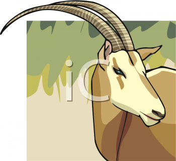 Farm Animal Clipart