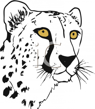 Big Cat Clipart