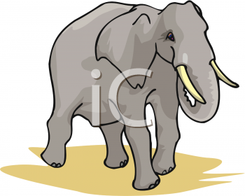 Mammal Clipart