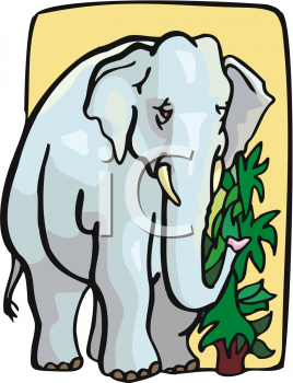 Mammal Clipart