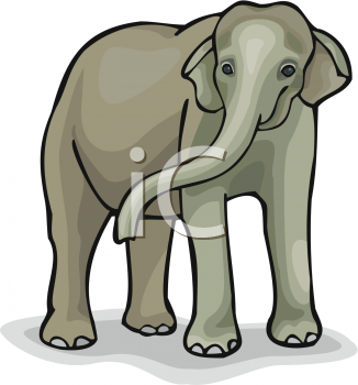 Mammal Clipart