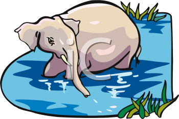 Mammal Clipart
