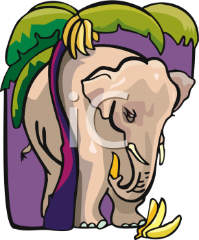 Mammal Clipart