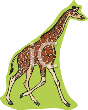 Animal Clipart