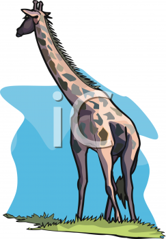 Animal Clipart