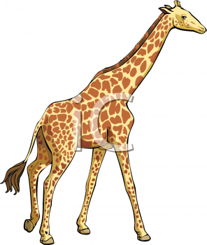 Animal Clipart