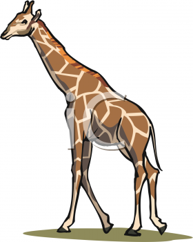 Animal Clipart