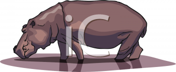 Animal Clipart