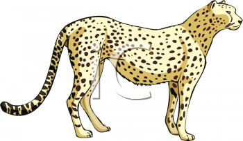 Big Cat Clipart