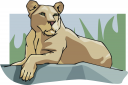 Big Cat Clipart