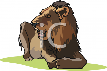 Big Cat Clipart