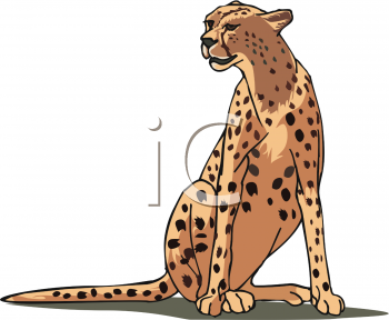 Pet Clipart