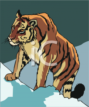 Big Cat Clipart