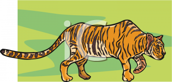 Big Cat Clipart