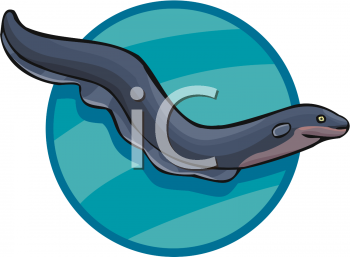 Fish and Sea Life Clipart