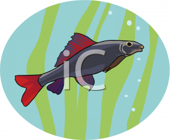 Fish and Sea Life Clipart