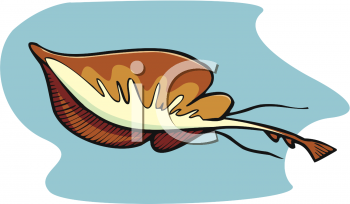 Fish and Sea Life Clipart