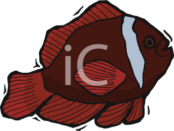 Fish and Sea Life Clipart