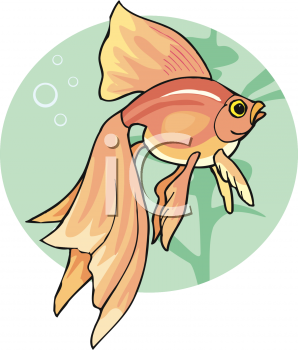 Fish and Sea Life Clipart