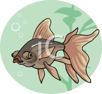 Fish and Sea Life Clipart
