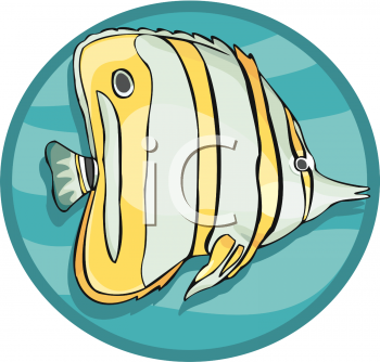 Insect Clipart