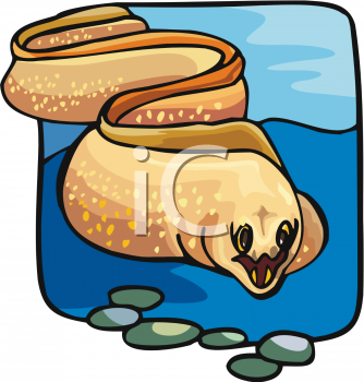 Fish and Sea Life Clipart