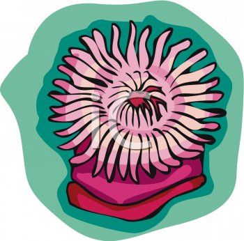 Fish and Sea Life Clipart