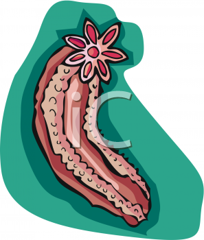 Fish and Sea Life Clipart