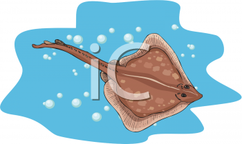 Fish and Sea Life Clipart