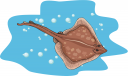Fish and Sea Life Clipart