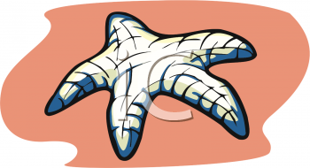 Fish and Sea Life Clipart