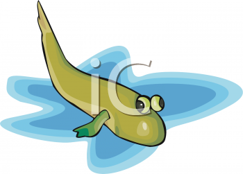 Insect Clipart