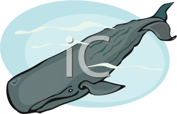Fish and Sealife Clipart