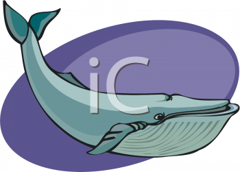 Fish and Sealife Clipart