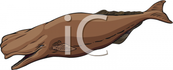 Fish and Sealife Clipart