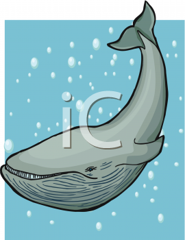 Fish and Sealife Clipart