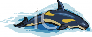 Fish and Sealife Clipart