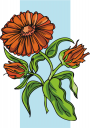 Flower Clipart