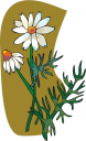 Flower Clipart
