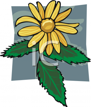 Flower Clipart