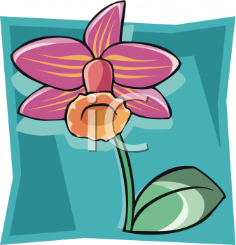 Flower Clipart