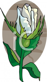 Flower Clipart