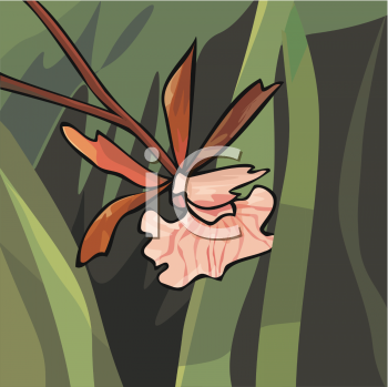 Grass and Tree Clipart