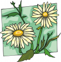 Flower Clipart