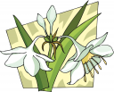 Flower Clipart