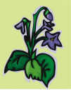 Flower Clipart